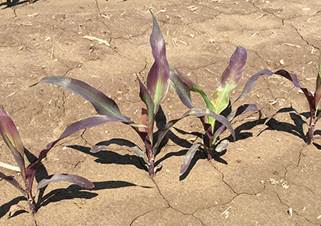 cid:image008.jpg@01D4FE85.35E01390